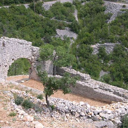 Apartment Starigrad/Senj 1 Starigrad  Bagian luar foto